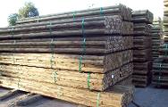 Pine logs for supply